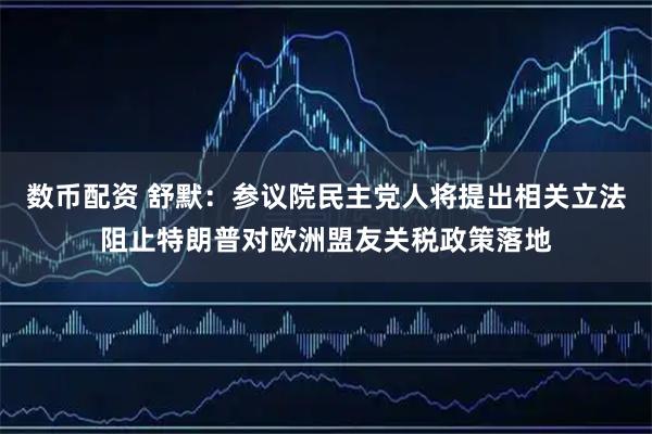 数币配资 舒默：参议院民主党人将提出相关立法阻止特朗普对欧洲盟友关税政策落地
